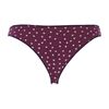 Γυναικείο Slip Brazil Cotonella - Λευκό/Σιέλ/Μπορντώ Πουά - Οικολογικό βαμβάκι - 3 Τεμάχια