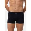 Ανδρικό Boxer Minerva Sporties - Μαύρο - Φαρδύ Λάστιχο - Regular Fit - Cotton
