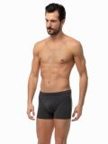 Ανδρικό Boxer Minerva Sporties - Ανθρακί - Φαρδύ Λάστιχο - Regular Fit - Cotton