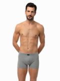 Ανδρικό Boxer Minerva Sporties - Γκρι - Φαρδύ Λάστιχο - Regular Fit - Cotton