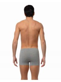 Ανδρικό Boxer Minerva Sporties - Γκρι - Φαρδύ Λάστιχο - Regular Fit - Cotton