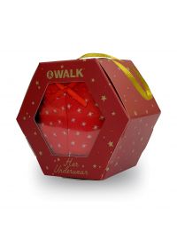 WALK Γυναικείο Slip Lace Brief - Bamboo - Gift Box - Κόκκινο με έλατα