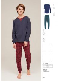 Ανδρική πυτζάμα Noidinotte - Μπλε - Μπορντό καρό παντελόνι