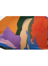 Μαγιό slip Rock Club Panther - Ψηλό κόψιμο - Midnight Print - V σλιπ