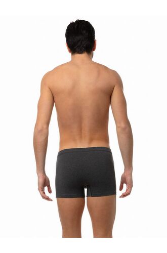 Ανδρικό Boxer Minerva Sporties - Ανθρακί - Φαρδύ Λάστιχο - Regular Fit - Cotton