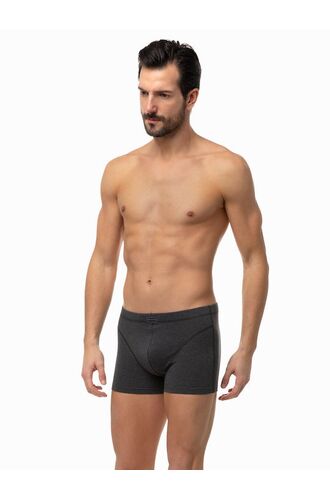 Ανδρικό Boxer Minerva Sporties - Ανθρακί - Φαρδύ Λάστιχο - Regular Fit - Cotton