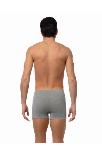 Ανδρικό Boxer Minerva Sporties - Γκρι - Φαρδύ Λάστιχο - Regular Fit - Cotton