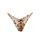 Μαγιό slip Rock Club Tiger - Ψηλό κόψιμο - Animal Print - Mix and Match σλιπ