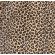 Γυναικεία πυτζάμα Noidinotte - Βελουτέ - Animal Print - Regular Fit - Polyester
