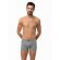 Ανδρικό Boxer Minerva Sporties - Γκρι - Φαρδύ Λάστιχο - Regular Fit - Cotton